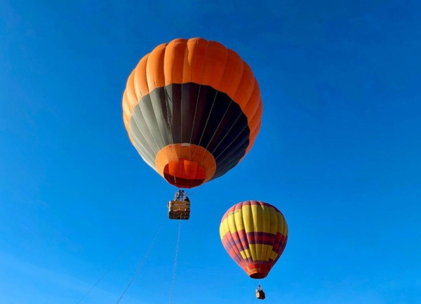 В Абхазии подходит к концу фестиваль "Мандарин"